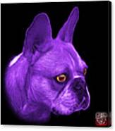Purple French Bulldog Pop Art - 0755 Bb Canvas Print