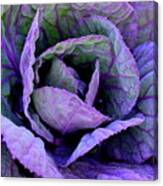 Purple Frost Canvas Print