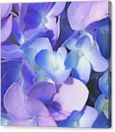 Purple Hydrangea Canvas Print