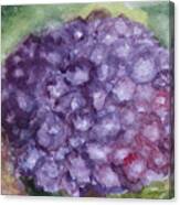 Purple Hydrangea Canvas Print