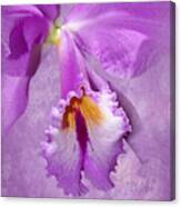 Purple Mist Orchid Canvas Print