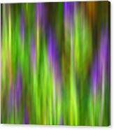 Purple Sage Digital Abstracts Motion Blur Canvas Print
