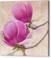 Purple Tulip Magnolia Canvas Print