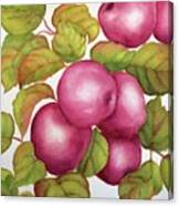 Purple Variety Canvas Print
