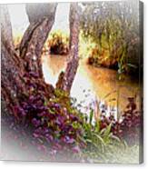 Quiet Stream Canvas Print