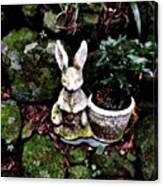 Rabbit With Green Canvas Print