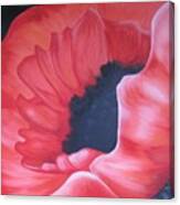 Radiant Poppy Canvas Print
