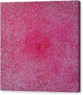 Radiation With Pink And Magenta Canvas Print