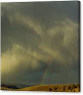 Rainbow And White Light-signed-#9456 Canvas Print