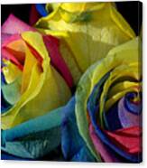 Rainbow Of Love 3 Canvas Print