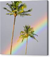 Rainbow Palms Canvas Print