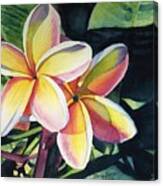 Rainbow Plumeria Canvas Print