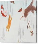 Raining Cats And Dogs Canvas Print