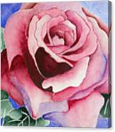 Ramblin' Rose Canvas Print