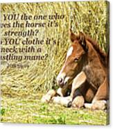 Rapid The Eight Hour Old Foal And Scripture Canvas Print