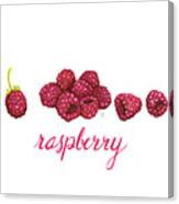 Raspberry Canvas Print