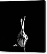 Reaching Ballerina Canvas Print