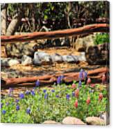 Red And Bluebonnets Canvas Print