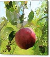 Red Apple On Tree Canvas Print