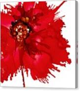 Red Beauty Canvas Print