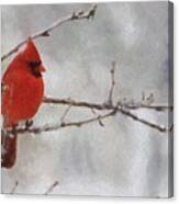 Red Bird Of Winter Canvas Print