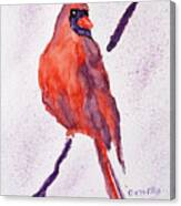 Red Bird Canvas Print