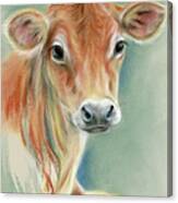 Red Calf Portrait Canvas Print