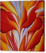 Red Canna Canvas Print