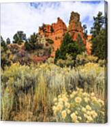 Red Canyon Area Utah Canvas Print