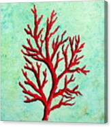Red Coral Canvas Print