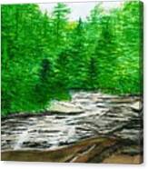 Red Creek Canvas Print