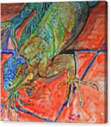 Red Eye Iguana Canvas Print