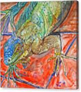 Red Eyed Iguana Canvas Print
