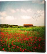 Red Field Canvas Print