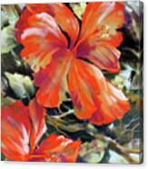 Red Fire Hibiscus Canvas Print