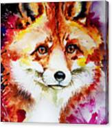 Red Fox Canvas Print