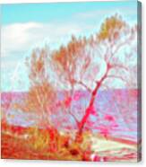 Red Glow Beach Tree Canvas Print