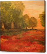 Red Glow In The Meadow Canvas Print