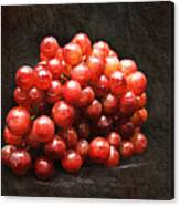 Red Grapes Canvas Print