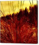 Red Grass Canvas Print