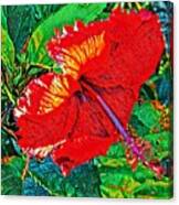 Red Hibiscus Aslant Canvas Print