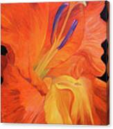 Red-hot Flower Canvas Print