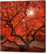 Red Lace Canvas Print
