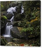 Red Leaf Waterfalls Canvas Print