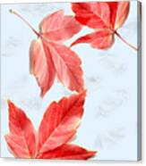 Red Leaves On Blue Texture Canvas Print