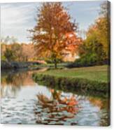 Red Maple Tree Reflection At Sunrise Canvas Print