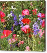 Red Poppies And Other Wildflowers Canvas Print