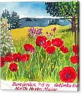 Red Poppies Coastal Maine Island June Garden North Haven Canvas Print