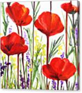 Red Poppies Watercolor By Irina Sztukowski Canvas Print