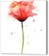 Red Poppy Watercolor Canvas Print